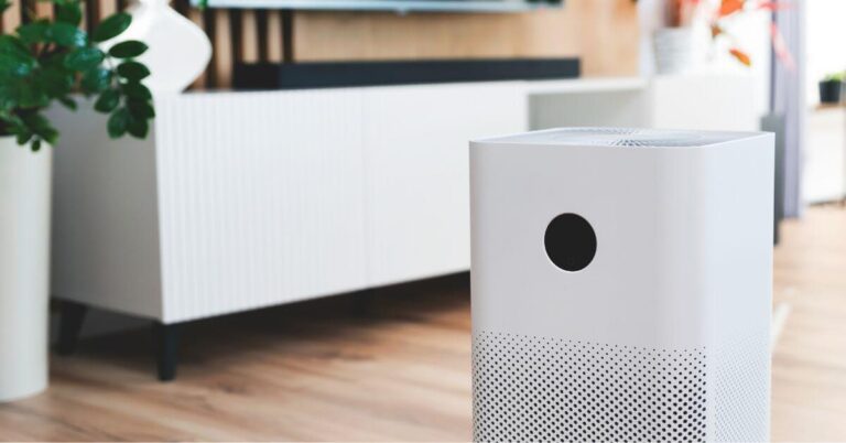 air purifier vs humidifir for allergies